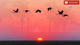 😀Relaxing music with video