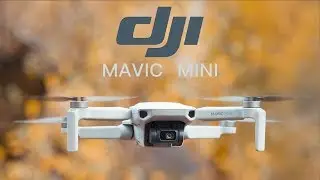 TEST du DJI Mavic mini : Le drone parfait pour débutants !