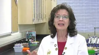 How to create successful lab courses with Macmillan Learning Lab Solutions