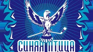 ХК Синяя Птица 2006 - ХК Метеор 2006 (3-й период)