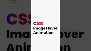 Learn this cool image hover effect in CSS - 