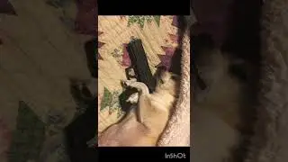 Жили - были не тушили четверо друзей. 