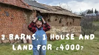 We Bought an Abandoned Vineyard in Bulgaria – Full Tour