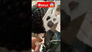 Велосипед #велосипед #рекомендации #shorts