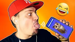UDAWAJ DŹWIĘKI DO TELEFONU CHALLENGE! 🦉