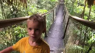 LA GUYANE EN FAMILLE #16 - Camp Canopée.