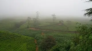 Нувара Элия (Nuwara Elia)  - дорога