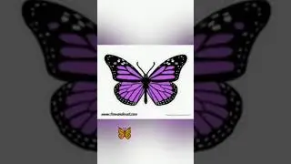 Dino Visio😎