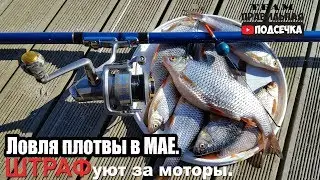 Spring roach fishing. Fishing on Lake Ladoga 2020. Motor fines.