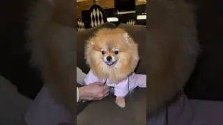 У меня все под контролем 