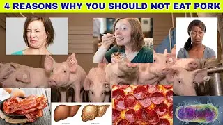 4 REASONS WHY YOU SHOULD NOT EAT PORK