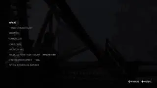 The last of us part 2 ps5