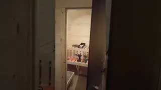 баня бочка. бойлер, отделка. #shorts #банябочка #баня