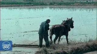 Ebro river Delta. Part 1