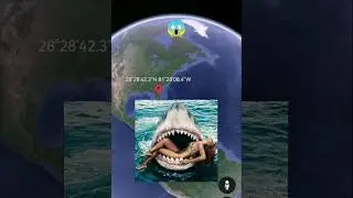 Huge shark😱on Google Earth 
