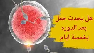 هل يحدث حمل بعد الدورة بخمسة أيام | أفضل وقت لحدوث الحمل بعد الدورة الشهرية | أنسب وقت لحدوث الحمل