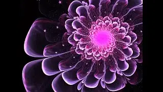 528Hz Miracle Tone  ➤ Clear Negative Energy | The Healing Frequency Of Love 528hz Frequency | 9 Hrs