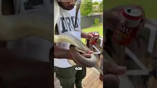 C'est un poison pour les serpents