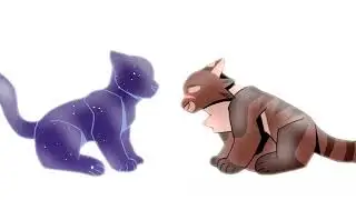 You're Not A Hero, Tigerstar }} Warrior Cats Animation