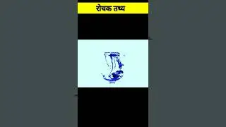 interesting fact l रोचक तथ्य #shorts #youtubeshorts @MRINDIANHACKER  @CrazyXYZ  @AnjaniSharma27
