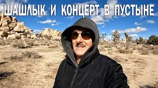 Palm Springs: Парк деревьев Иисуса Навина (День 2)
