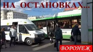 🚌 ВОРОНЕЖ. НА ОСТАНОВКАХ...
