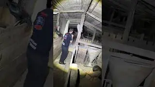 Oque será isso um fantasma ou uma criatura
