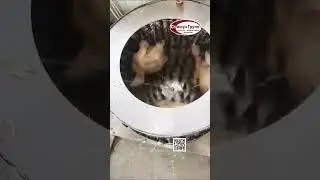 Перосъёмная машина Стимул - ПМ06