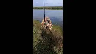 Деревенская Жизнь в прямом эфире!
