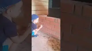 Сын