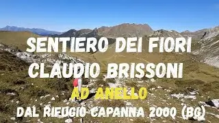 Sentiero dei Fiori Claudio Brissoni ad anello dal Rifugio Capanna 2000 (BG)