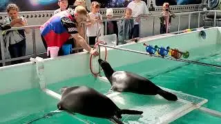 Нерпинарий в Листвянке