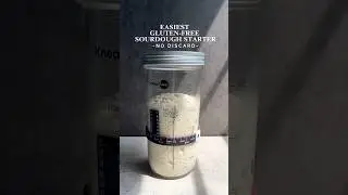 Easiest Gluten-Free Sourdough Starter Recipe 