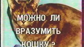 География/Природоведение Наши пушистые друзья