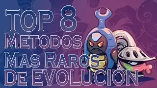 Top 8 