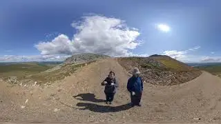 360 video Reindeer running uphill