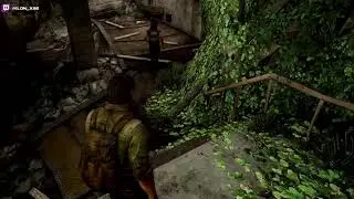 The Last of Us PS4