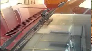 DD audio caribe