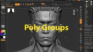 Học Cùng Master Zbrush - Poly Group 