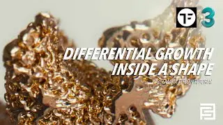 Differential Growth inside a shape | 3dsmax x tyflow tutorial