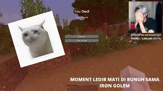 Moment @ledib Mati Konyol Gara Gara Di Bunuh Ama Iron Golem | Brutal Legends