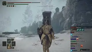 Mcconnell destroys the Bird of Death boss in Elden Ring