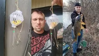 Catching Giant Carp on Crazy Chum Bucket rig. Illinois Carp and Catfish fishing