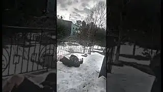 #виолеттамалышенко