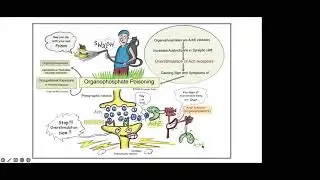 Organophosphate Poisoning