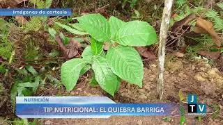 TIP NUTRICIONAL: LA QUIEBRABARRIGA