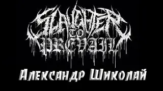 Александр Шиколай