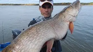 I barely lifted this MONSTER. TROPHY PIKE from the depths.