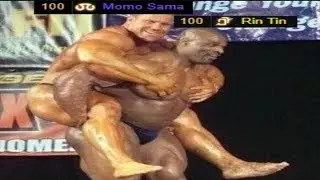Top Tier Healer Synergy