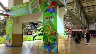 test walk osmo pocket